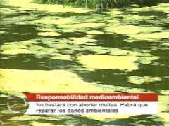 VIDEOS FLV PREVENCION  TELE4 CONTAMINAR